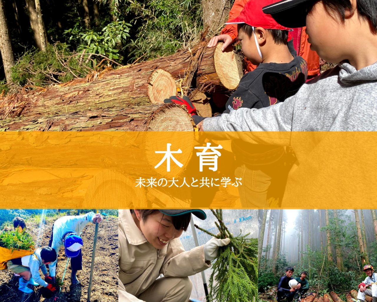 木育SDGs